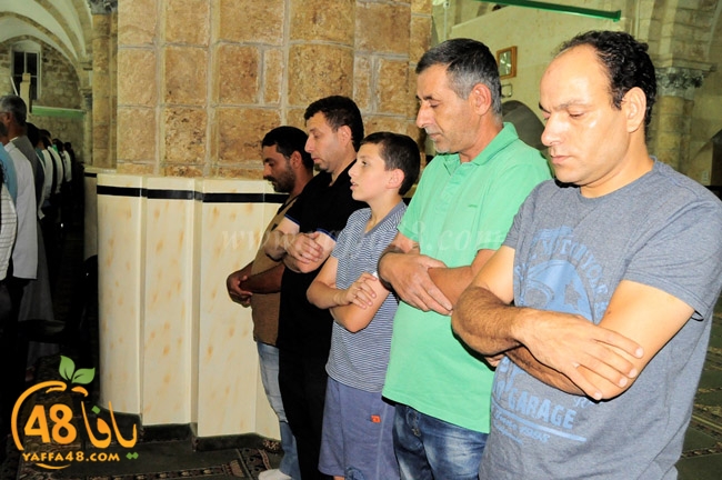 trawe7 ramla kaber (4).JPG